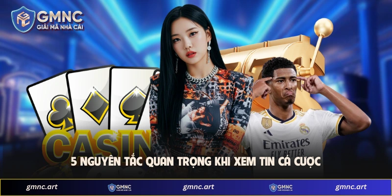 5 nguyên tắc quan trọng khi xem tin cá cược