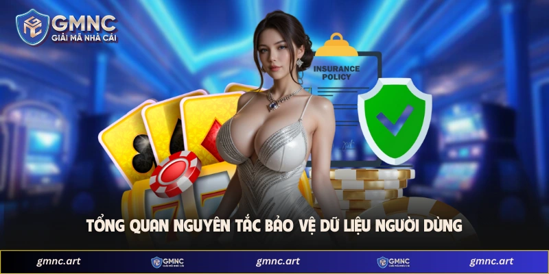 Tổng quan nguyên tắc bảo vệ dữ liệu người dùng